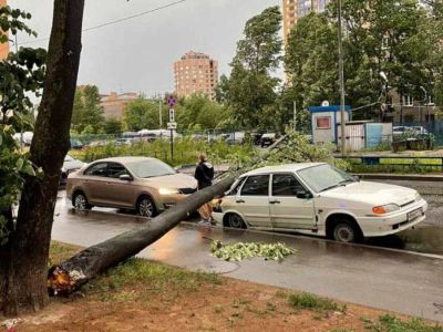 Последствия шторма, Санкт-Петербург, 1.07.24. Фото: t.me/pitertop Последствия шторма, Санкт-Петербург, 1.07.24. Фото: t.me/pitertop